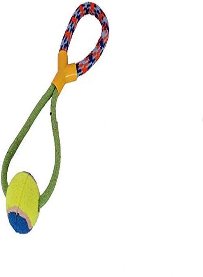 Pet Believe Tennis Ball, Rope Tug, Chew Toy for Puppy/Dog - Image 5